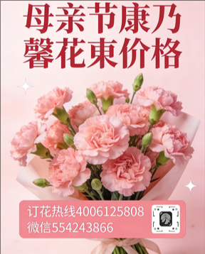 长治沁源县花店母亲节康乃馨花束